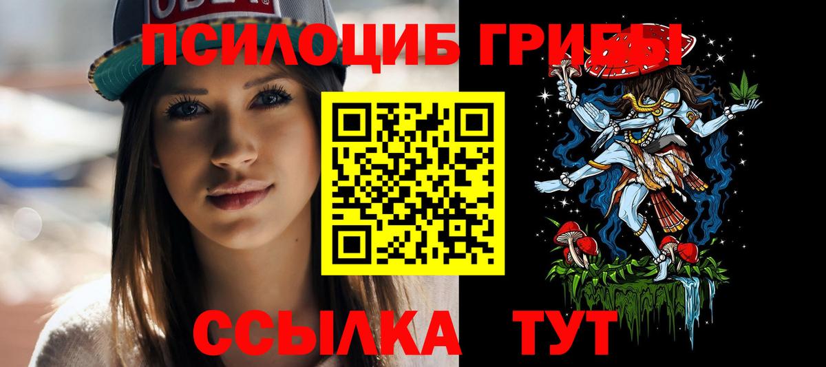Галлюциногенные грибы Psilocybe Ногинск