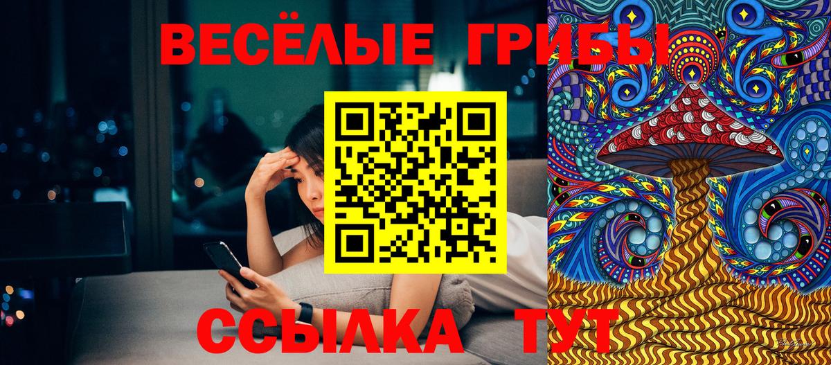 Ногинск  Псилоцибиновые грибы Psilocybe  Вход с VPN 
